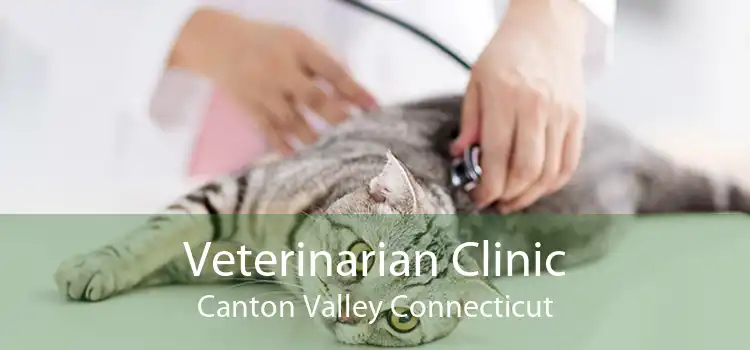 Veterinarian Clinic Canton Valley Connecticut