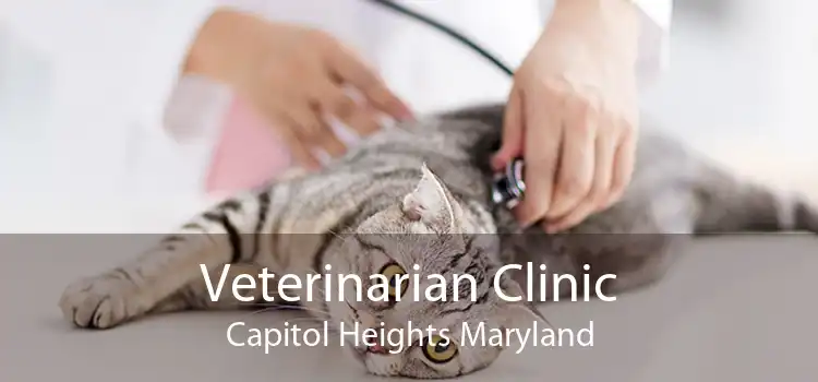 Veterinarian Clinic Capitol Heights Maryland
