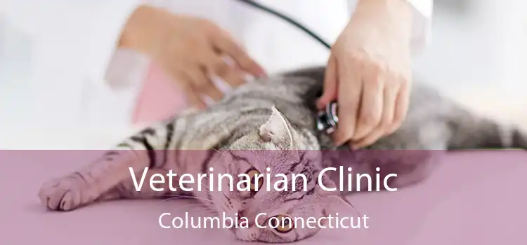 Veterinarian Clinic Columbia Connecticut