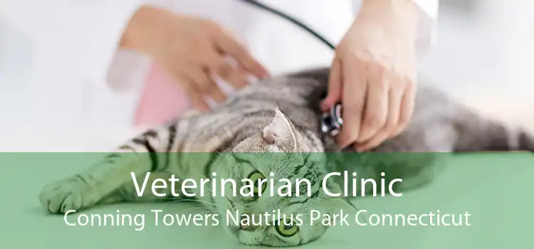 Veterinarian Clinic Conning Towers Nautilus Park Connecticut