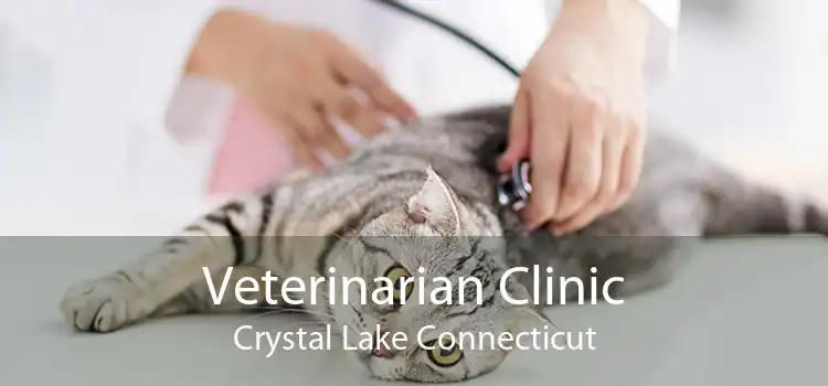 Veterinarian Clinic Crystal Lake Connecticut