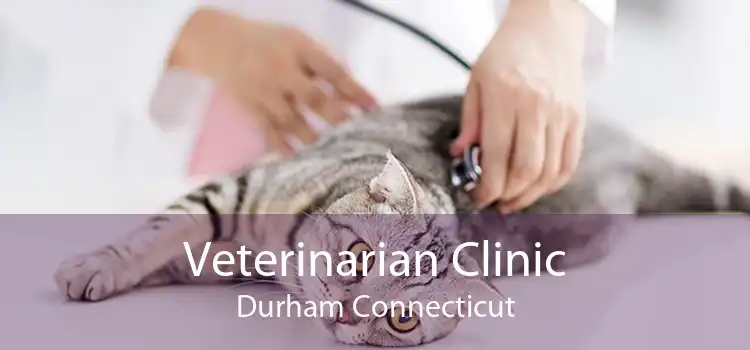 Veterinarian Clinic Durham Connecticut