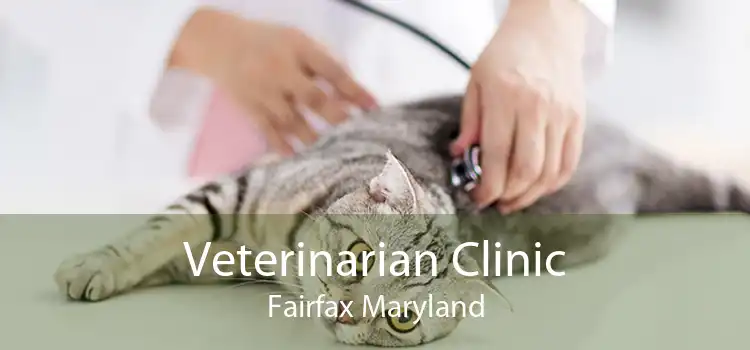 Veterinarian Clinic Fairfax Maryland