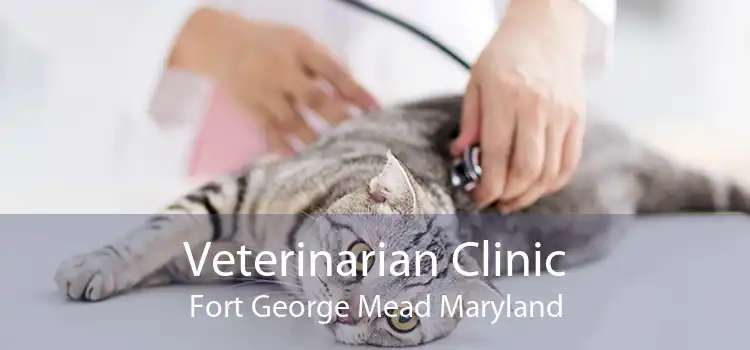 Veterinarian Clinic Fort George Mead Maryland