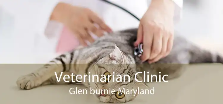 Veterinarian Clinic Glen Burnie Maryland