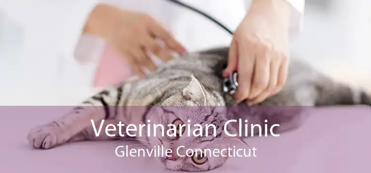 Veterinarian Clinic Glenville Connecticut