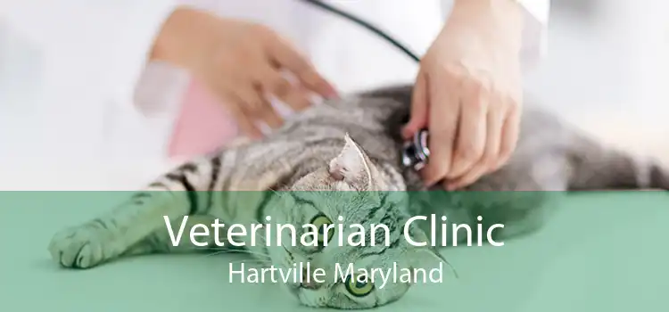 Veterinarian Clinic Hartville Maryland