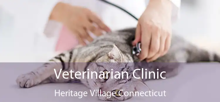 Veterinarian Clinic Heritage Village Connecticut