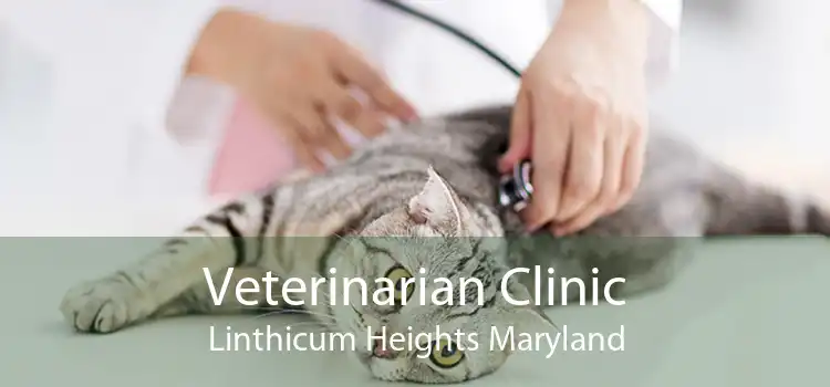 Veterinarian Clinic Linthicum Heights Maryland