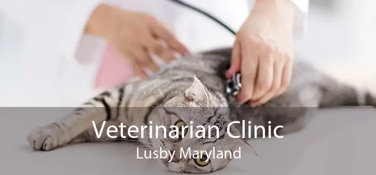 Veterinarian Clinic Lusby Maryland