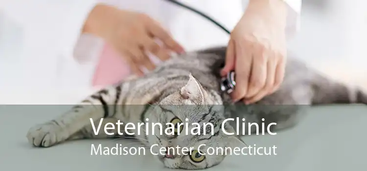 Veterinarian Clinic Madison Center Connecticut