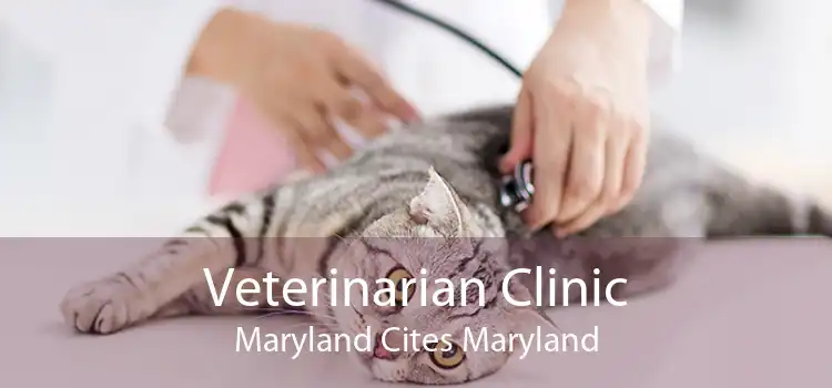 Veterinarian Clinic Maryland Cites Maryland