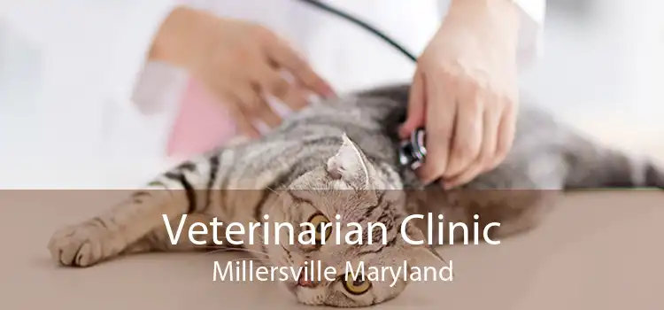 Veterinarian Clinic Millersville Maryland