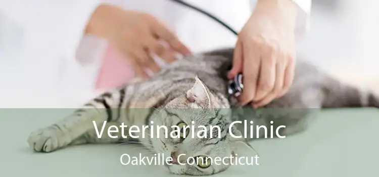 Veterinarian Clinic Oakville Connecticut
