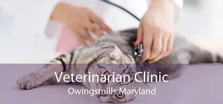 Veterinarian Clinic Owingsmills Maryland