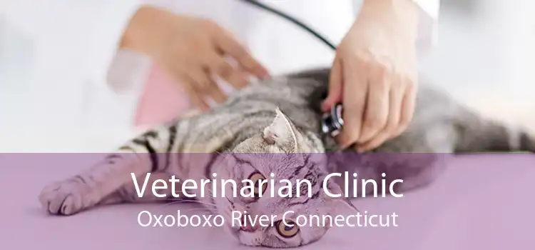 Veterinarian Clinic Oxoboxo River Connecticut