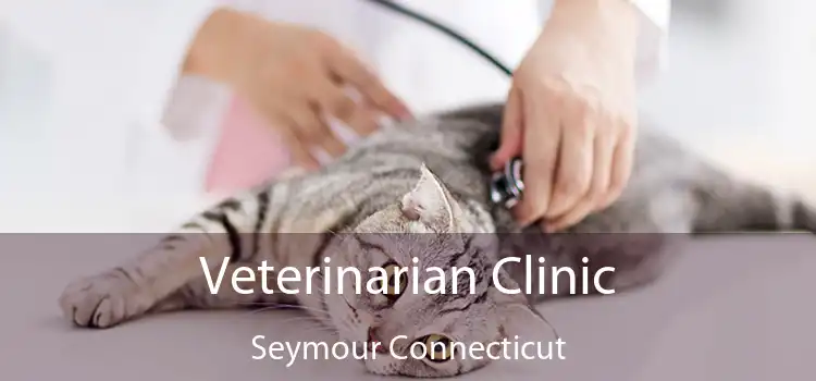 Veterinarian Clinic Seymour Connecticut