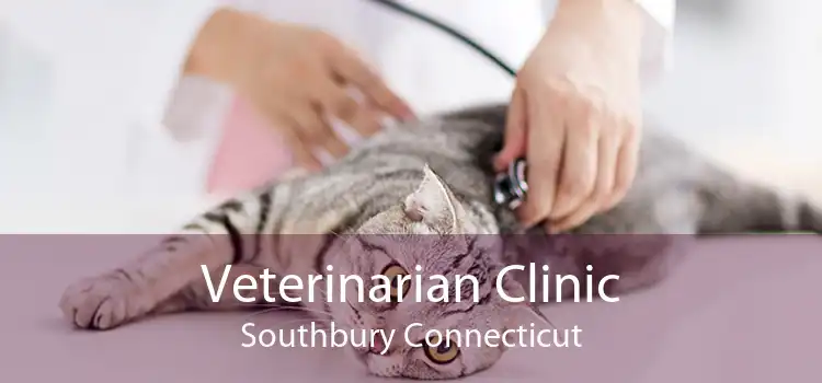 Veterinarian Clinic Southbury Connecticut