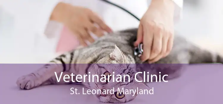 Veterinarian Clinic St. Leonard Maryland