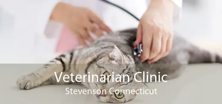 Veterinarian Clinic Stevenson Connecticut