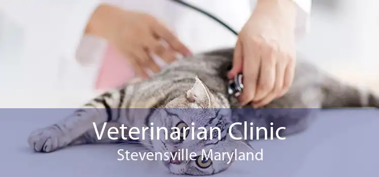 Veterinarian Clinic Stevensville Maryland
