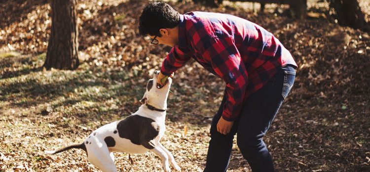 spay and neuter care